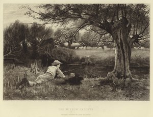 Minnow Catcher